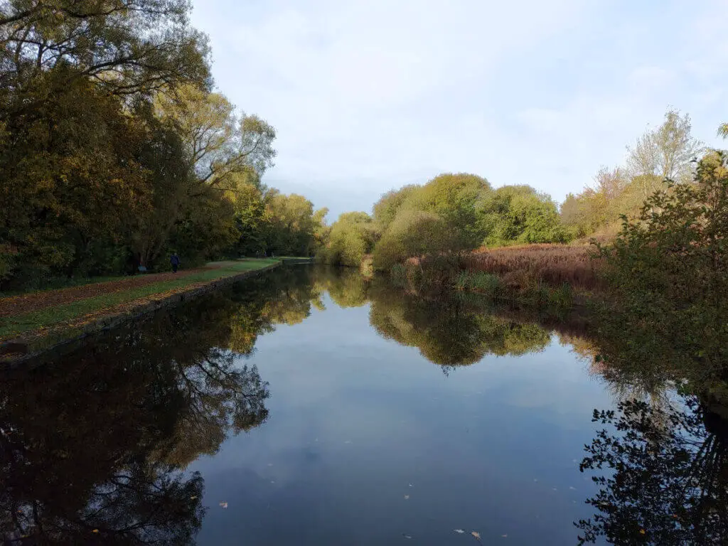 Trees and a sky of rain clouds reflected in a canal