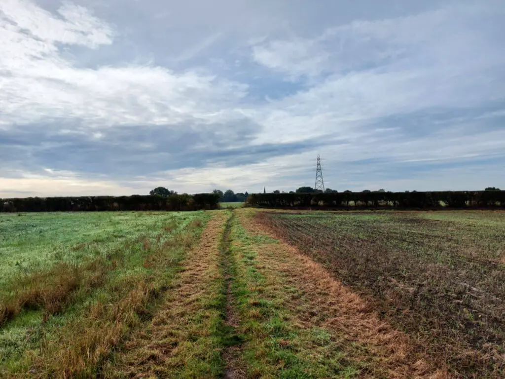 A footpath leads to a gap in hedges