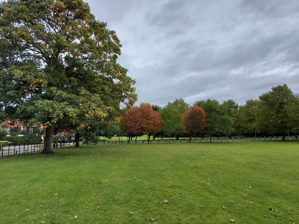 Autumn leaves on trees across a green field. The leaves are turning red and the sky is grey