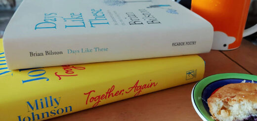 Two hardback books on a wooden coffee table next to a brightly coloured plate with a piece of cake on it, and an orange mug of tea. In the background is a fireplace with a burning fire.