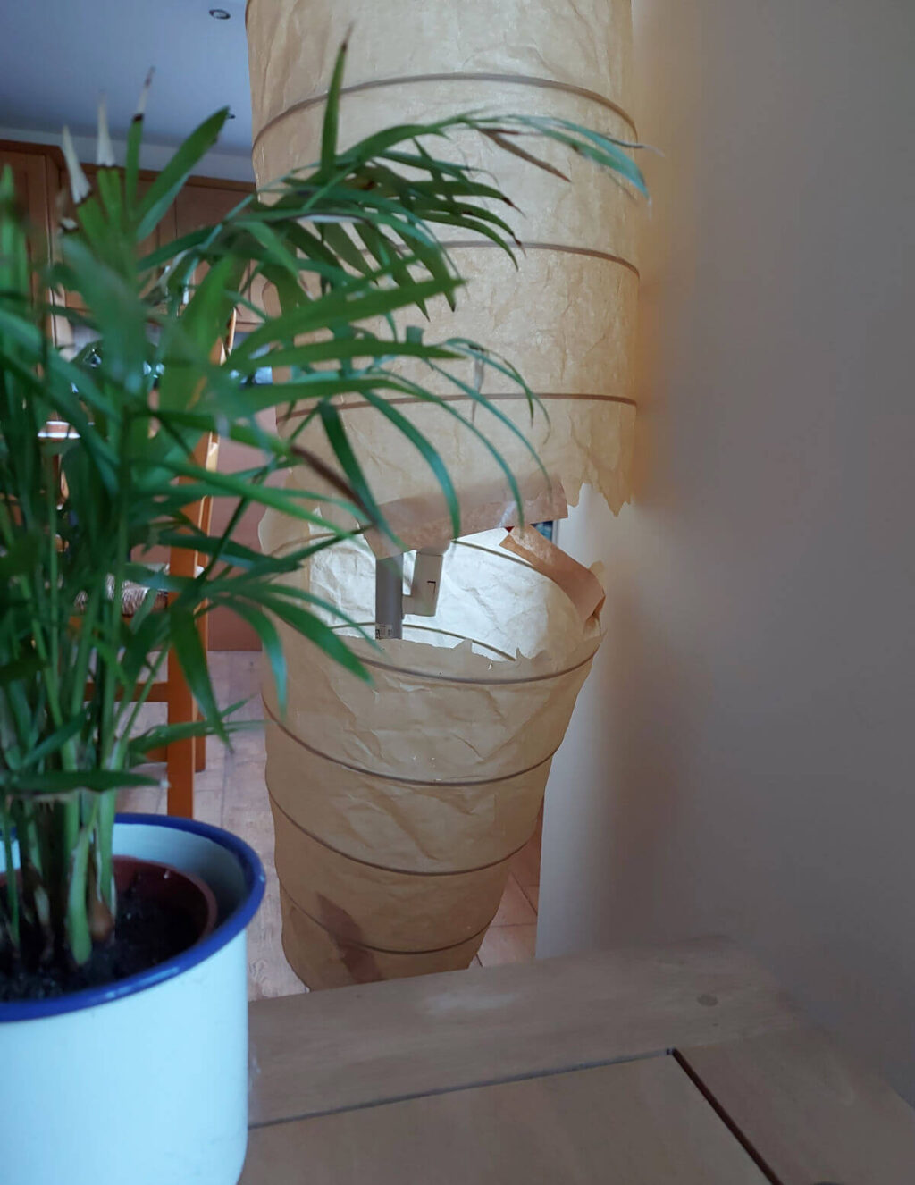 A paper lampshade almost ripped in half. In the foreground is a green leafy plant on a coffee table