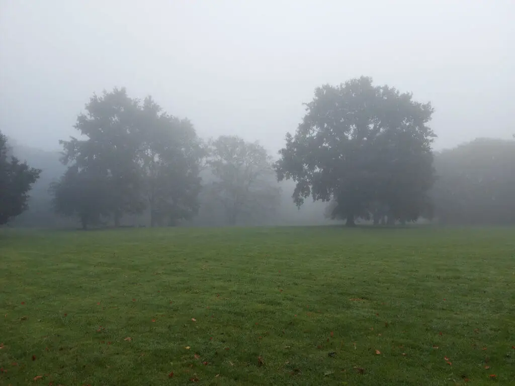A green open space with trees in the distance, disappearing into mist.