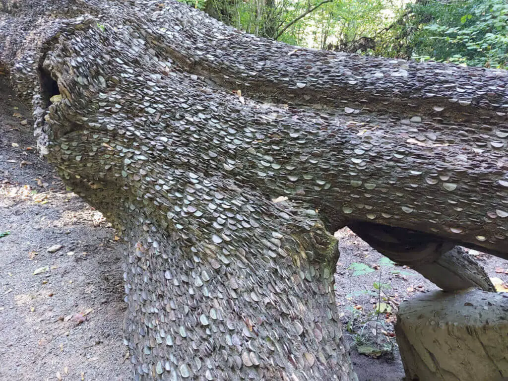 A fallen tree with coins embedded into it so that the tree is covered in them