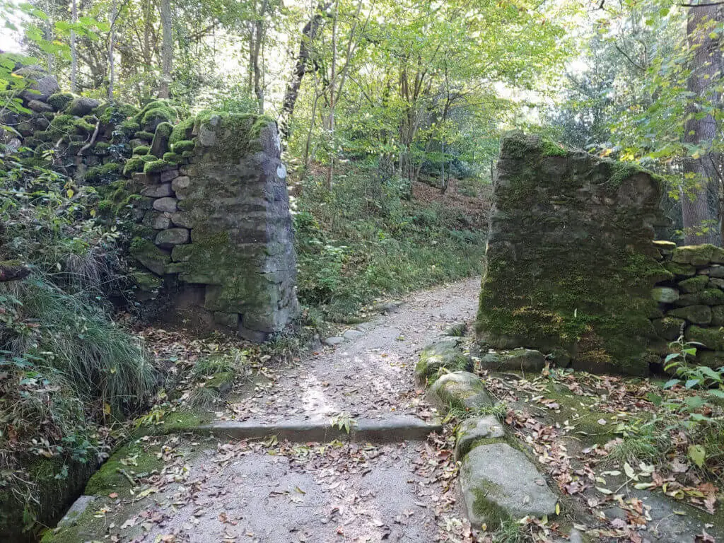 A gap in a dry stone wall where the footpath cuts through into the woodland