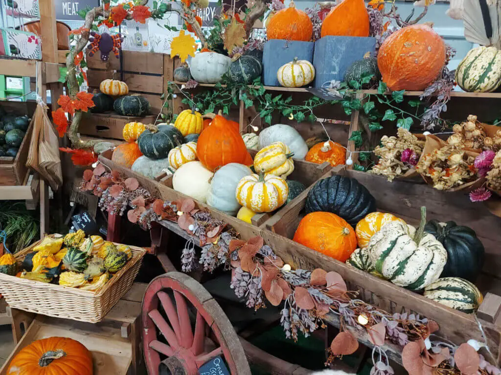 A display of green, yellow and orange pumpkins and gourds on a vintage hand cart