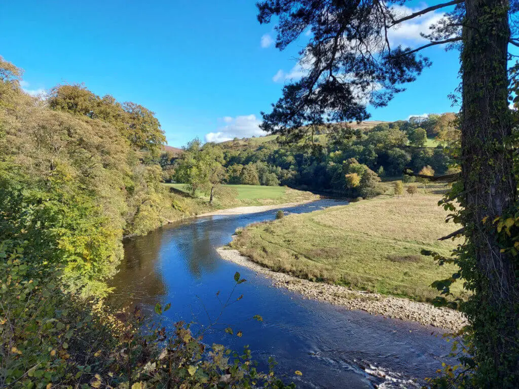 Looking out over the River Wharfe as it winds into the distance between trees on one side and a meadow on the other