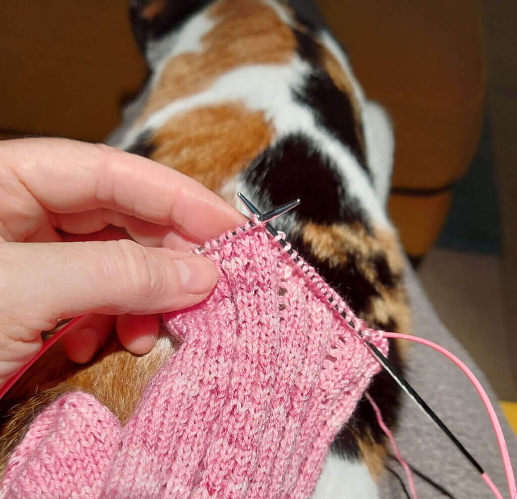 Christine is holding a partly-knitted pink sock. She is using twisted needle tip Unicorn needles with pink cables. In the background, a black, white and ginger cat can be seen stretched out on Christine's legs.