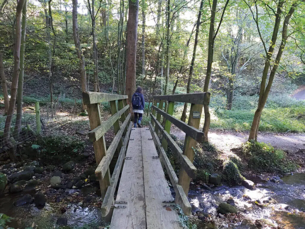 A narrow wooden bridge across a stream in a wood
