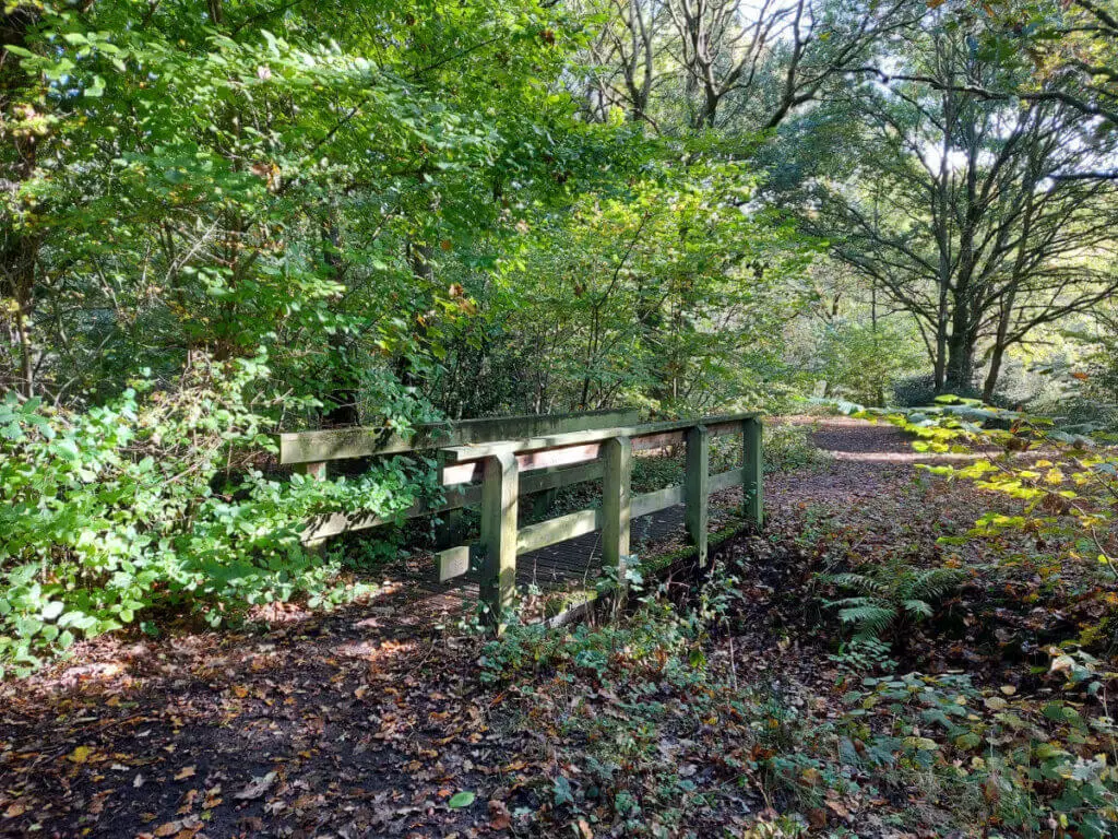 A wooden bridge along a woodland path
