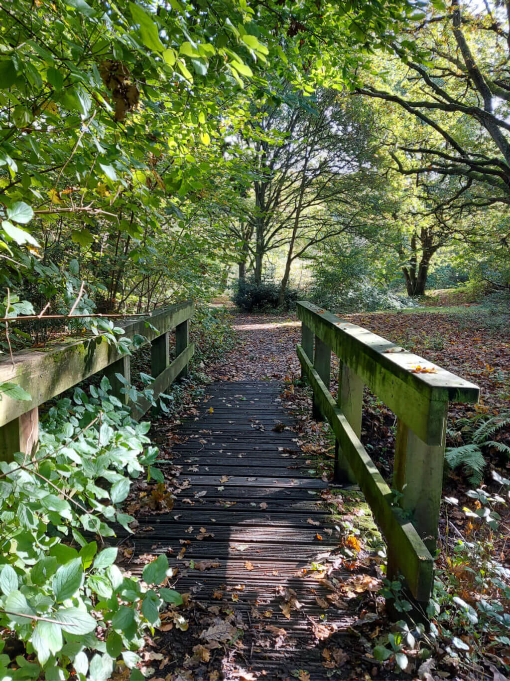 The path leads over a wooden bridge