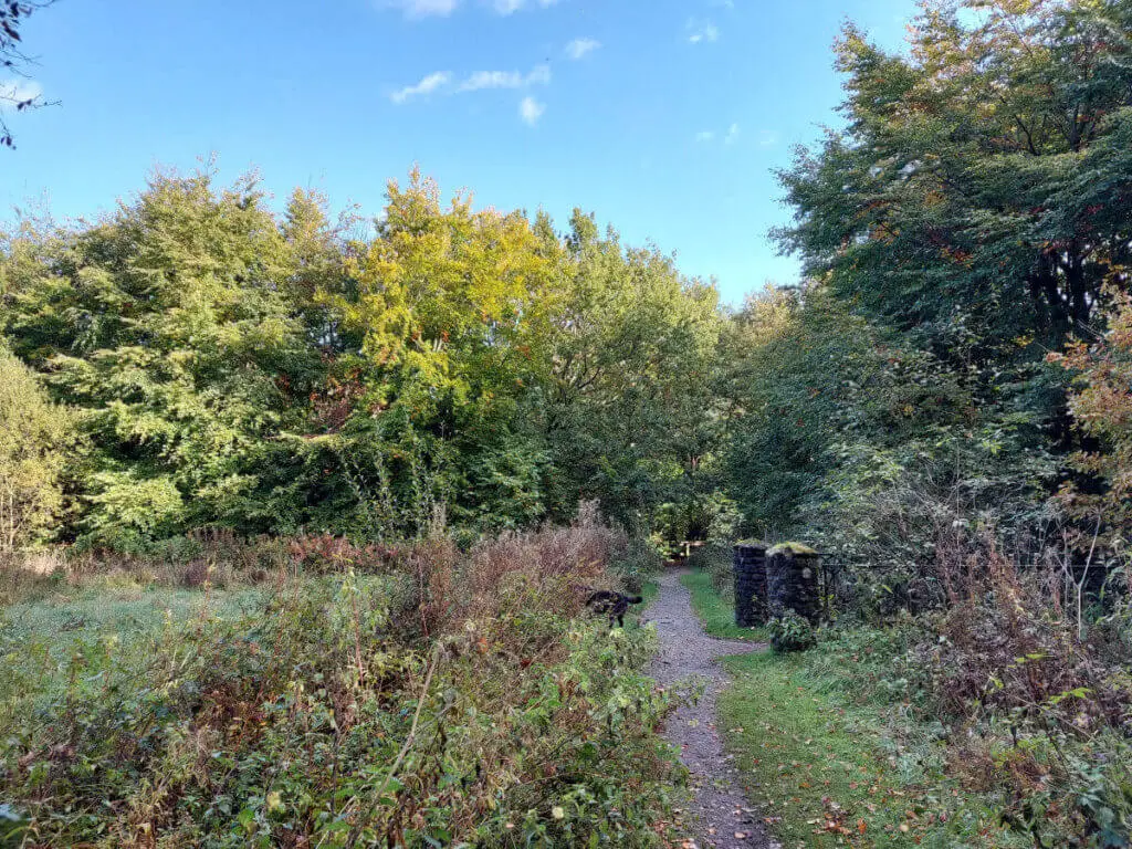 Looking down a woodland path towards autumn-coloured trees. On the right are dark decorative stone pillars