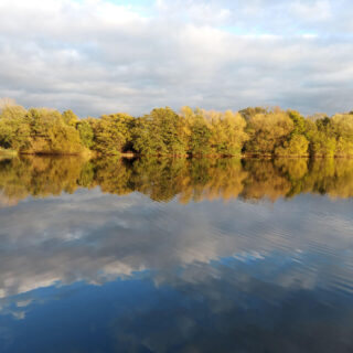 Trees with golden leaves and a cloudy sky reflected in a lake