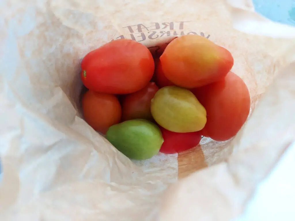 Green, red and yellow tomatoes in a paper bag