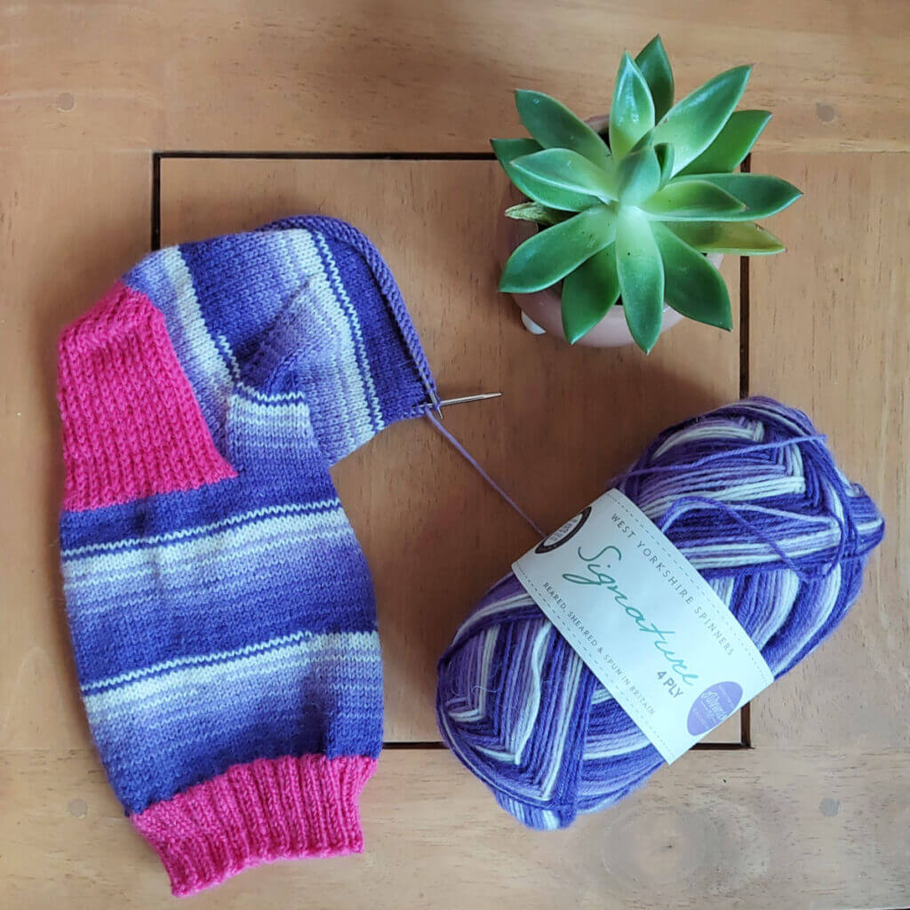 A partly-knitted purple and white striped sock with a pink cuff and heel lies on a wooden table next to the ball of purple yarn and a green succulent plant