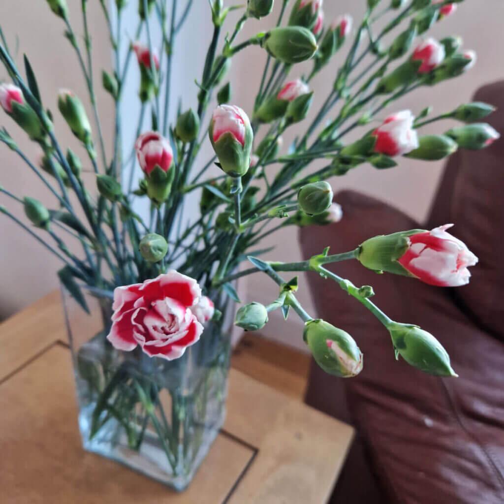 A square glass vase containing pink and white carnations is standing on a wooden coffee table next to a brown leather chair