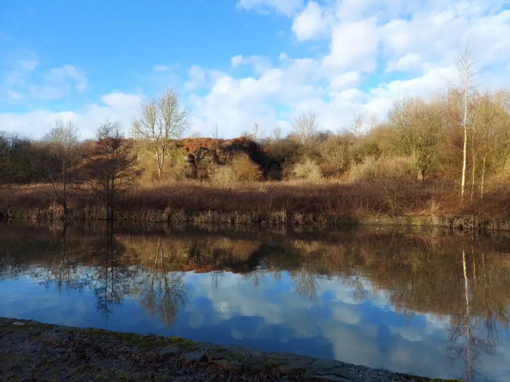 Trees, vegetation and a winter blue sky reflected in a canal