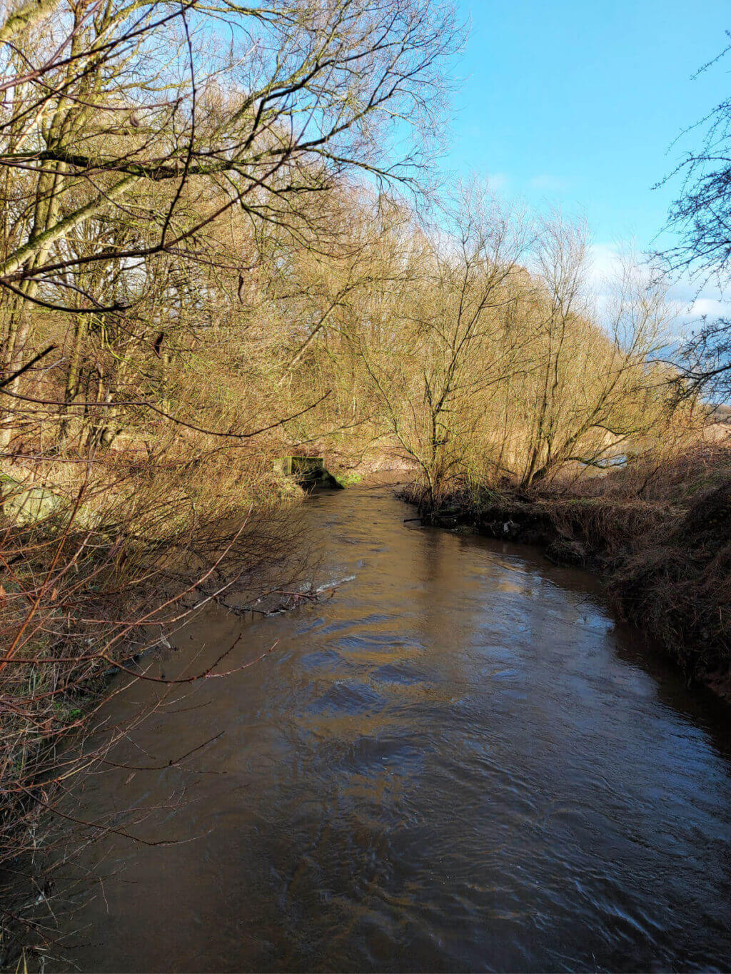 A view from a bridge over a swollen brook. The water looks very dark but the sky is blue