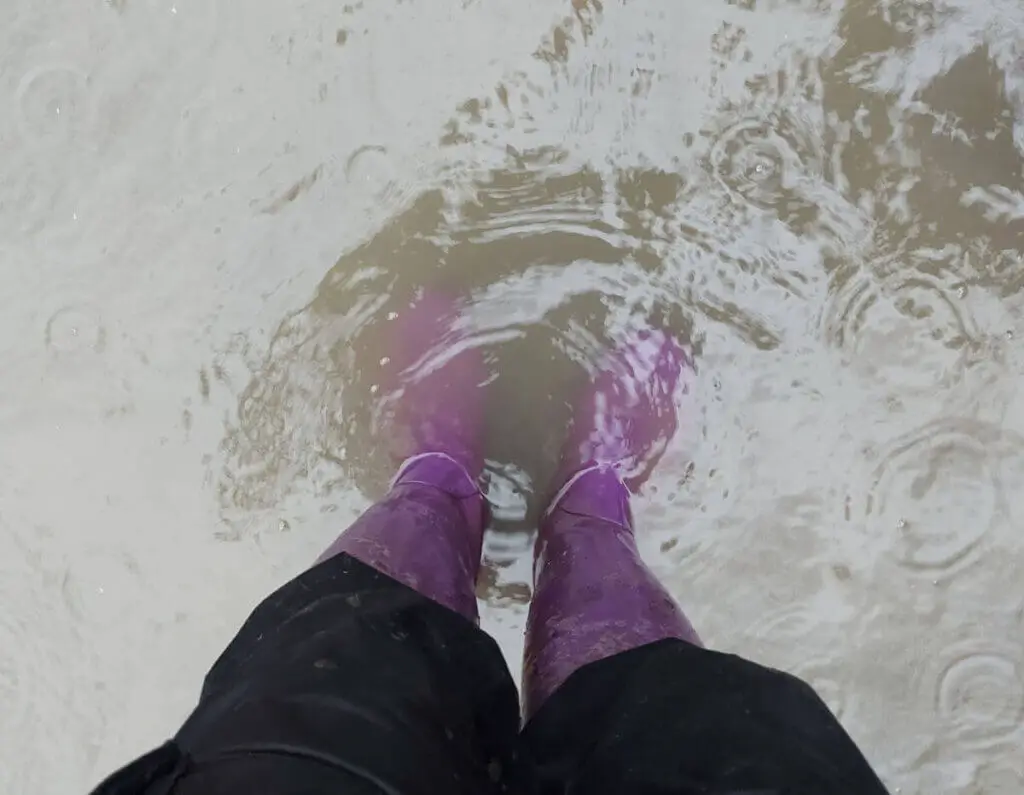Christine is standing in a deep puddle. She's wearing her purple wellies.