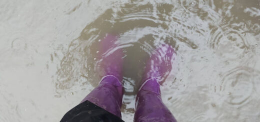 Christine is standing in a deep puddle. She's wearing her purple wellies.