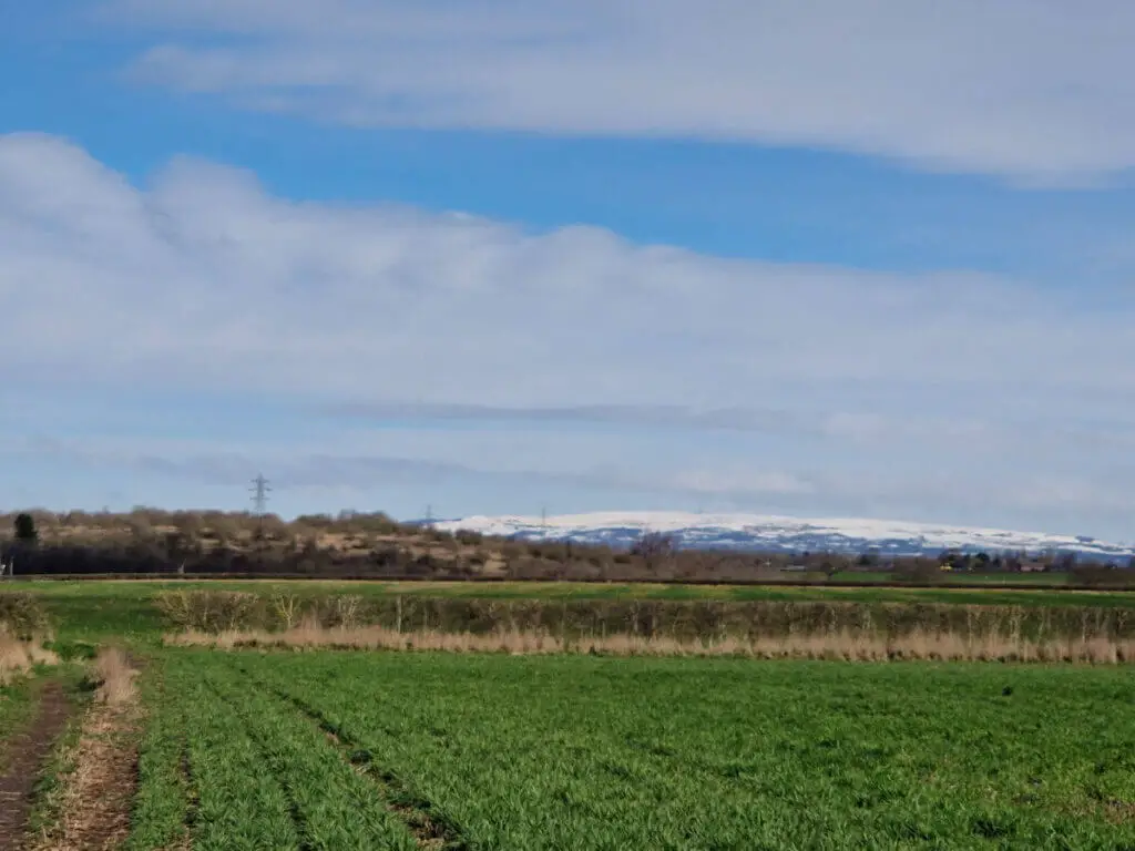 A view across green fields with snowy hills in the distance