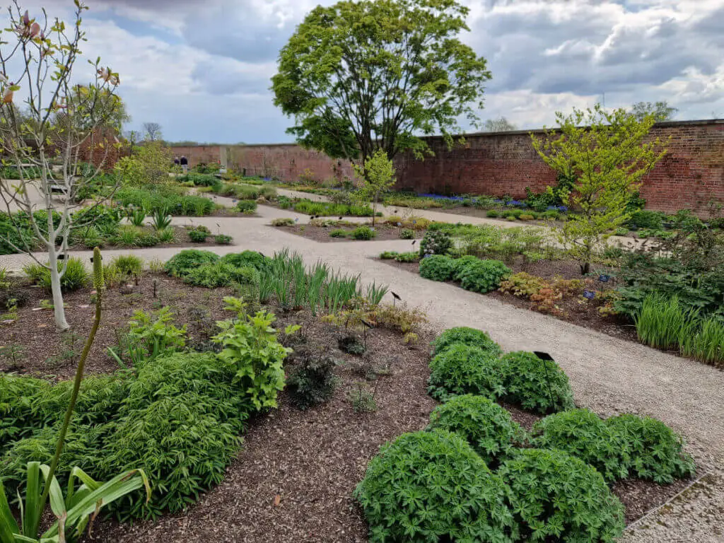 Flower borders at RHS Bridgewater. As it is early in the season, there's not much to see