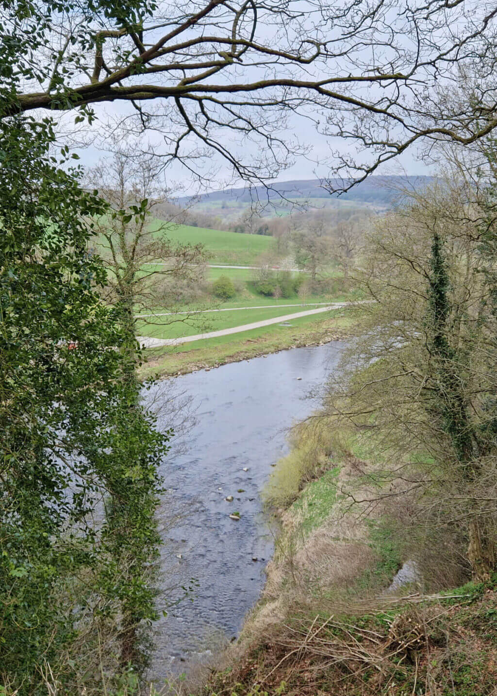 A view from a hill across the River Wharfe between trees