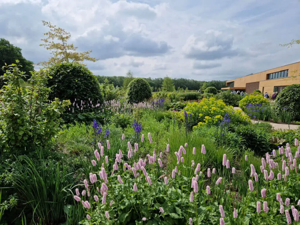 A view across well-stocked garden borders to a wood-clad building