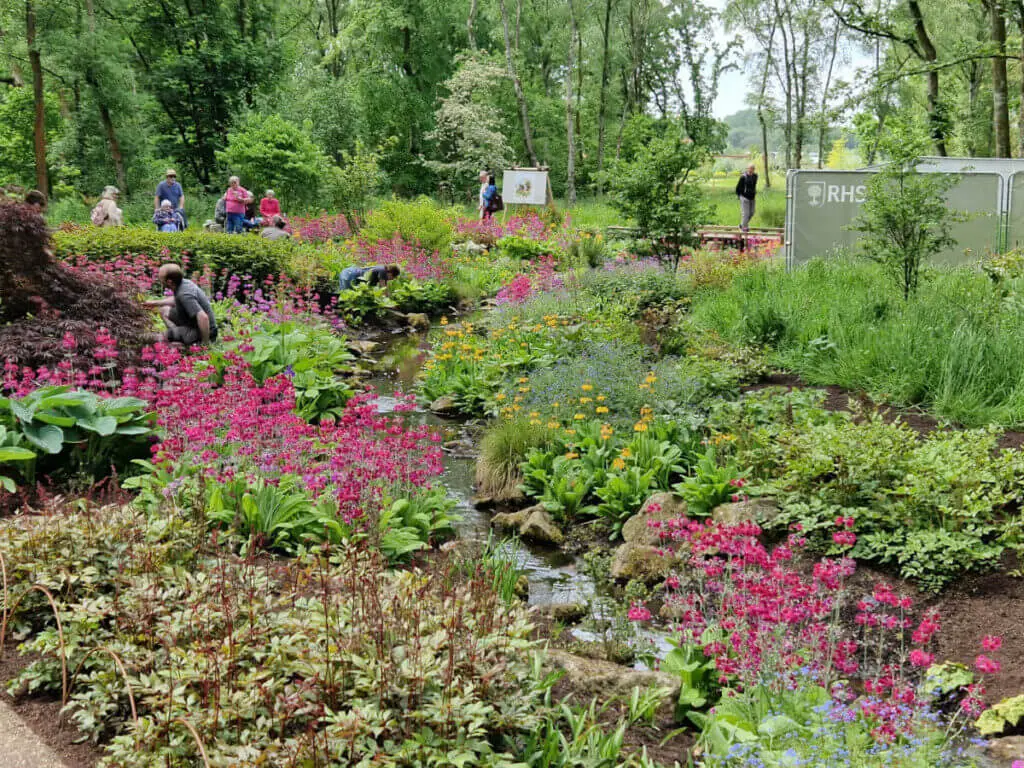 A view down a stream-side garden showing lots of tall pink flowers in bloom. There are people in the background working in the garden and walking on the path that curves around the stream