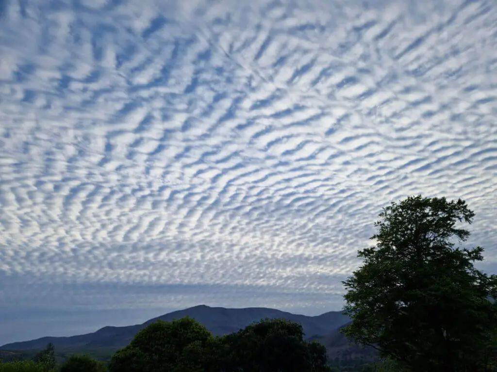 A mackerel sky (rippled clouds) above mountains with a large tree silhouetted in the foreground