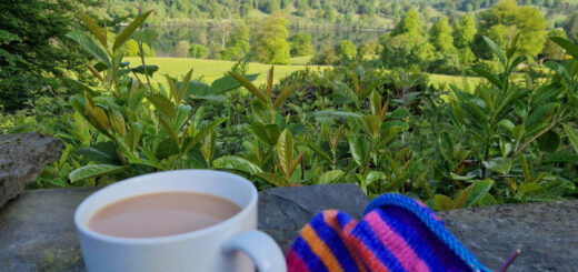 A white mug of tea and a rainbow-striped partly knitted sock are balanced on a stone wall. Behind them, the view is across green fields and trees to a lake and a mountain. The water is still and reflects the sky and the mountain