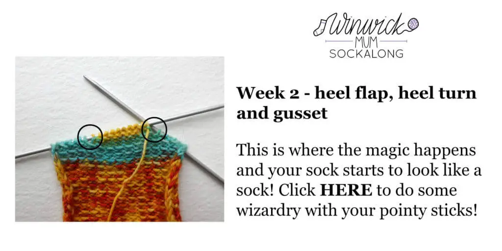 Beginner sock knitting: Sockalong - needles – Winwick Mum