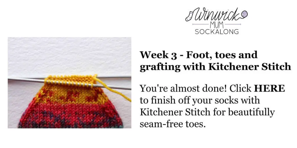 Beginner sock knitting: Sockalong - needles – Winwick Mum