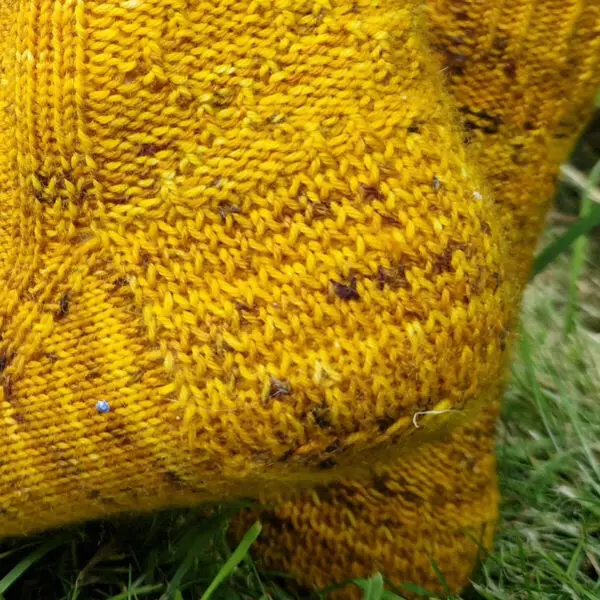 Sun Spot Socks - Image 3