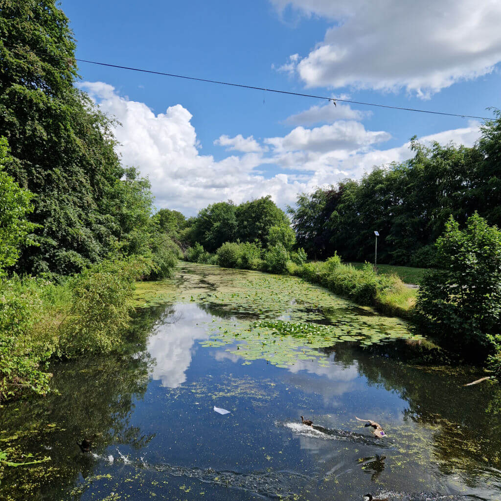 A view from a canal bridge across the water. The blue sky, clouds and trees framing the canal are reflected in the water