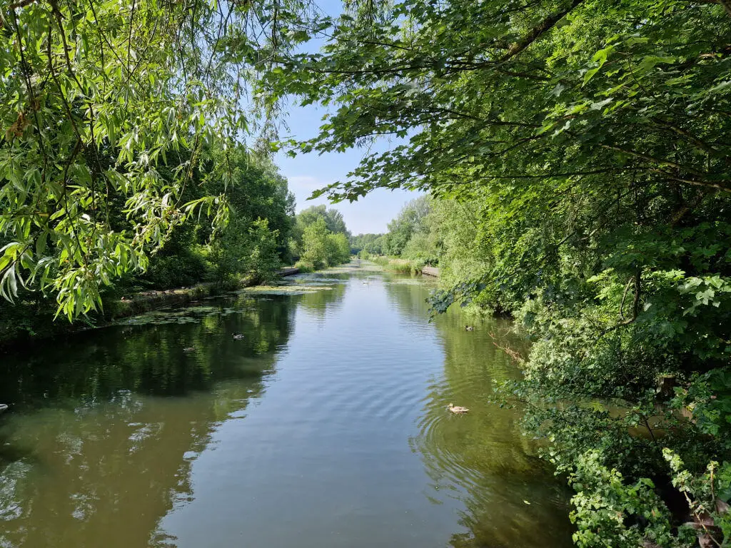 A view from a bridge down a canal. It's a beautiful day and the trees are a vibrant green