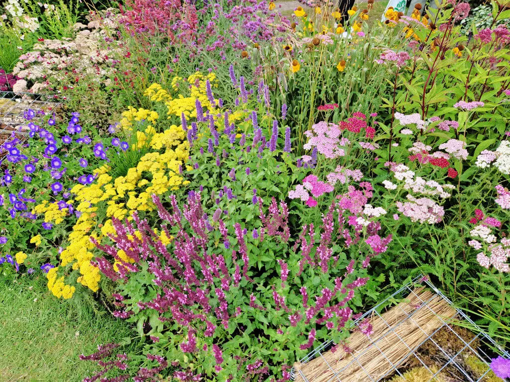 A brightly coloured display of perennial plants at RHS Tatton Show 2023