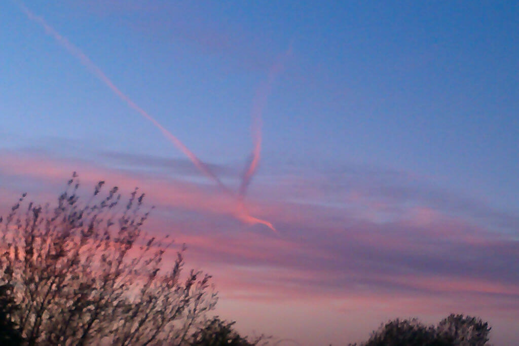 A cloud formation in a pink sunset sky that looks like a giant mythical bird
