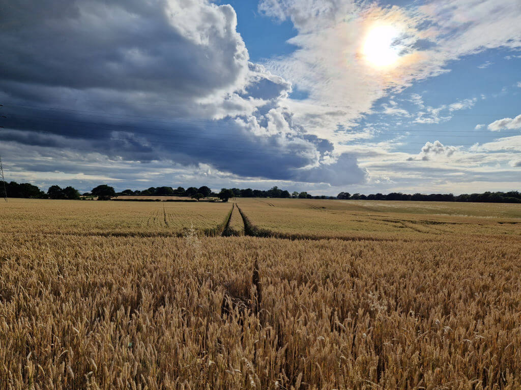 A bright sun partly covered by clouds above a ripening corn field.  There are dark storm clouds coming in from the left