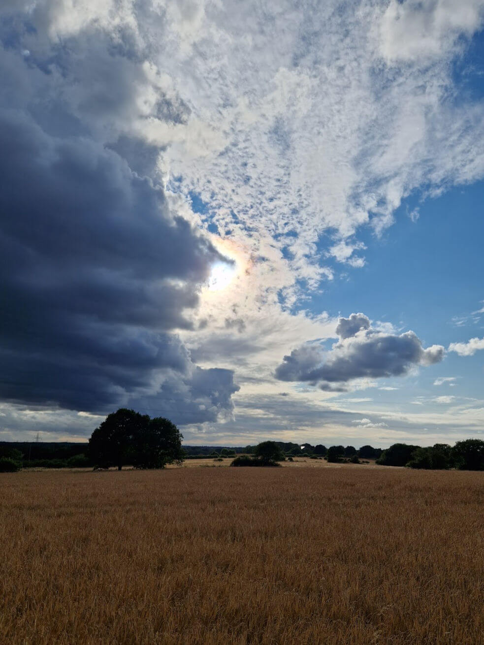 A bright sun mostly covered by clouds above a ripening corn field.  There are dark storm clouds coming in from the left and the corn looks dark gold in colour
