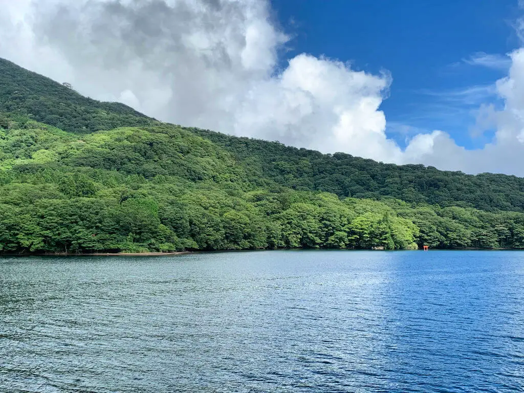 Wooded hillside next to a lake