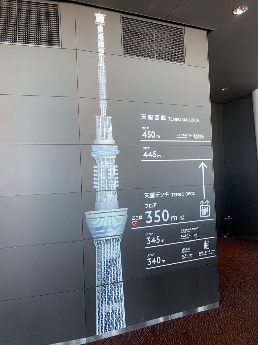 An information board showing the size of the Tokyo Skytree tower