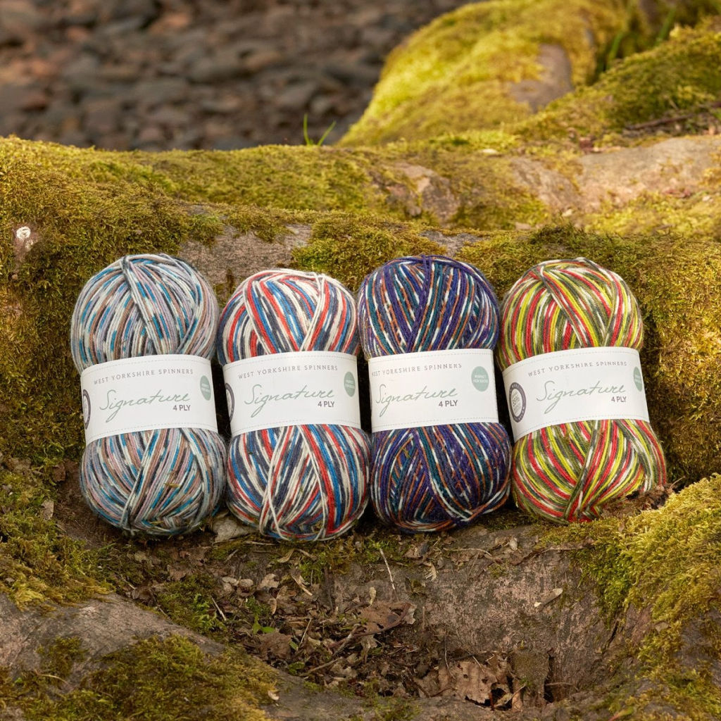 West Yorkshire Spinners Signature 4-Ply Country Birds Sock Yarn