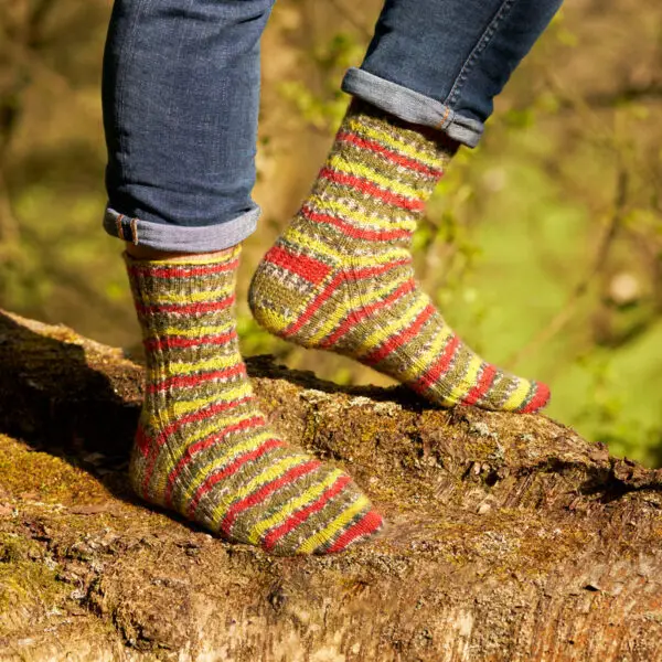 A pair of green, light green, red, black and white socks modelled on feet. The wearer is standing on a mossy log.