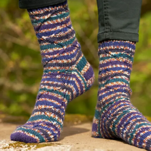 A pair of navy, teal, purple, gold and white socks modelled on feet. The wearer is standing on a mossy log.