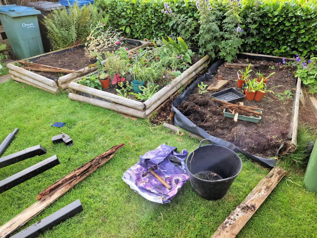 Tools and planks of wood lying across a lawn with partly dismantled wooden raised beds in the background