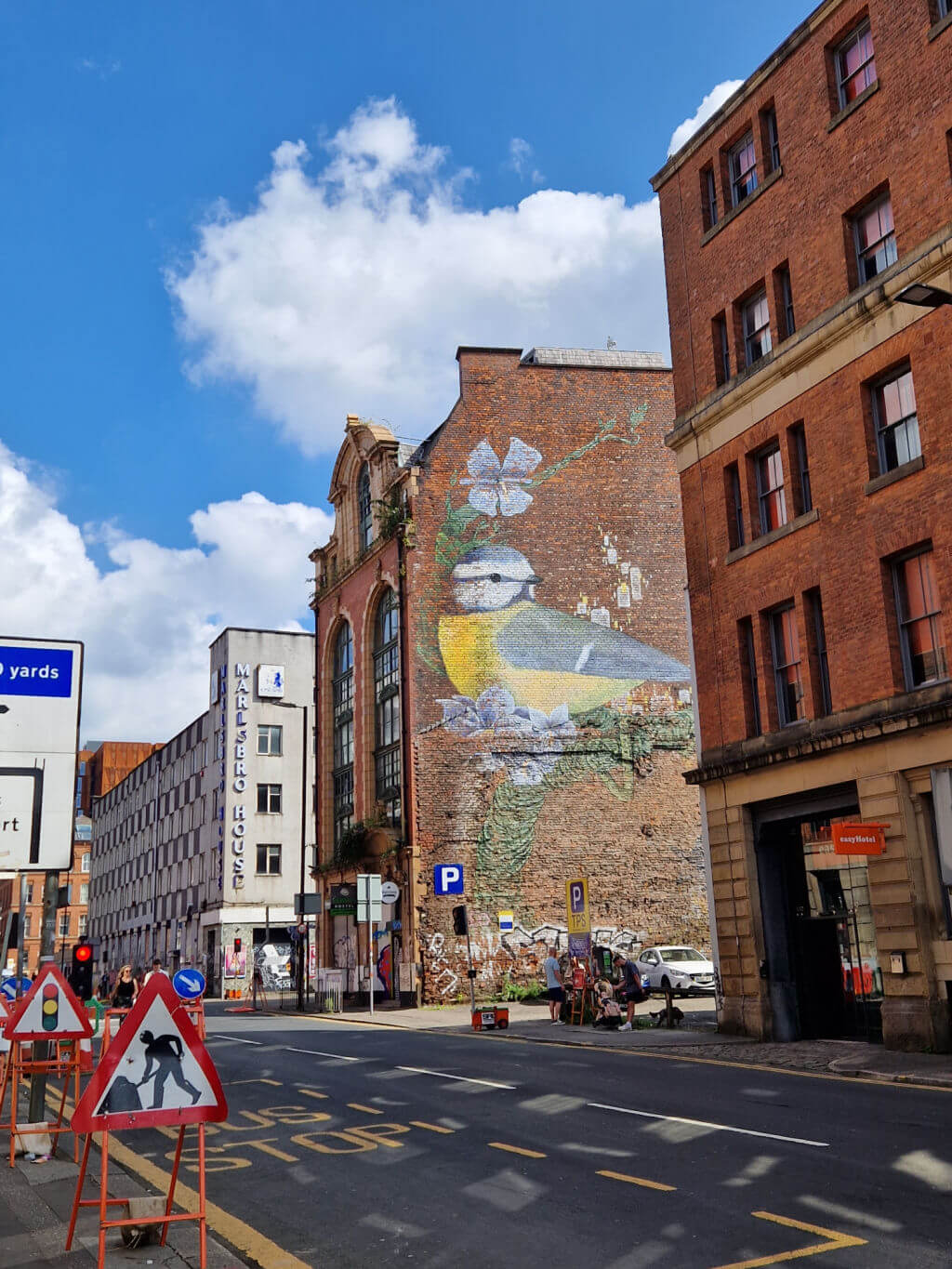 A painted mural of a blue tit bird on a brick building