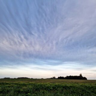 A cloudy sky streaked with pink above a farmer's field