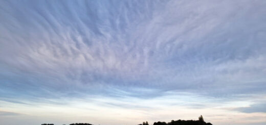 A cloudy sky streaked with pink above a farmer's field