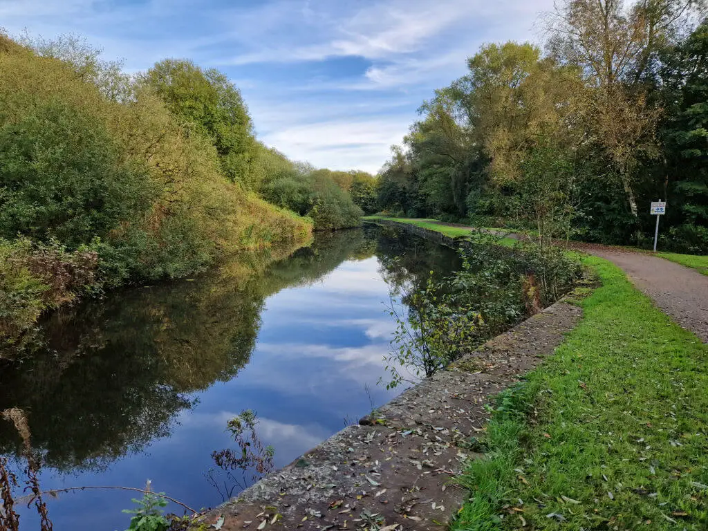 Trees and sky reflected in the water of a canal