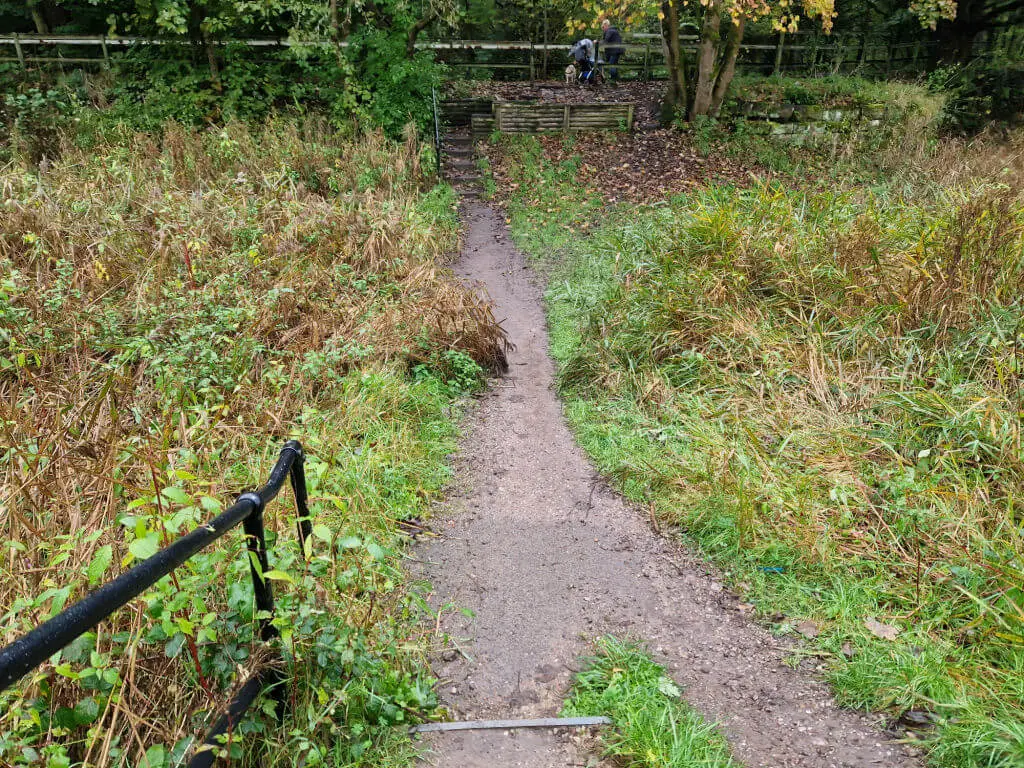 Looking down steps to an overgrown disused canal